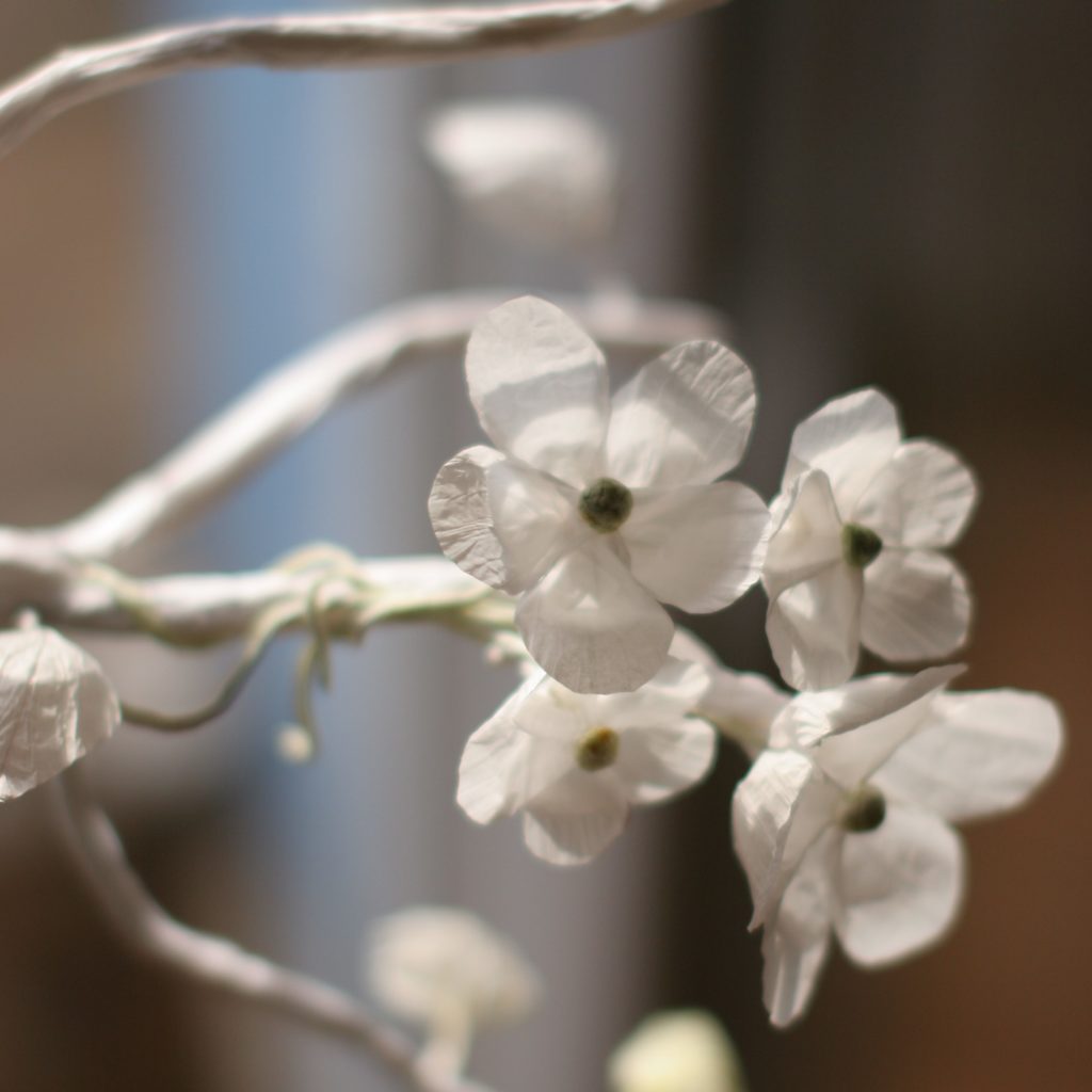 Fleurs Charlot & Cie